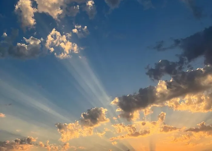 度假居 Yellow Submarine *